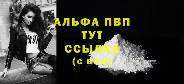 винт Алексин