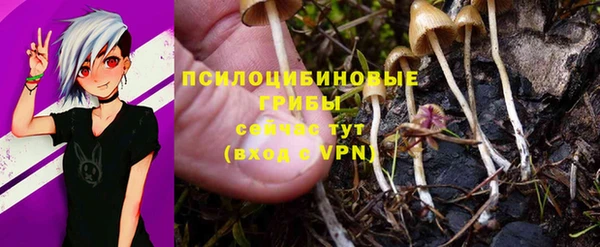 марки lsd Алзамай