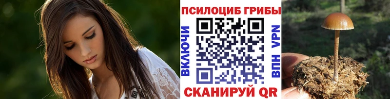 Псилоцибиновые грибы Magic Shrooms  Поронайск 